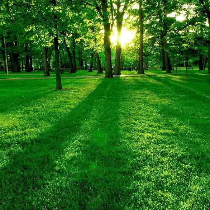 آهنگ جدید Balabay Agayev Bir Addim da Yaxinlas